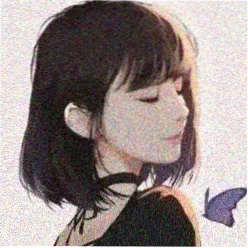 追番少女